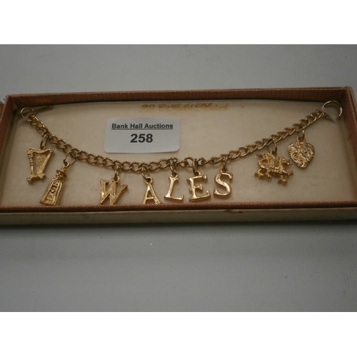 258 - 22ct gold plated Wales charm bracelet