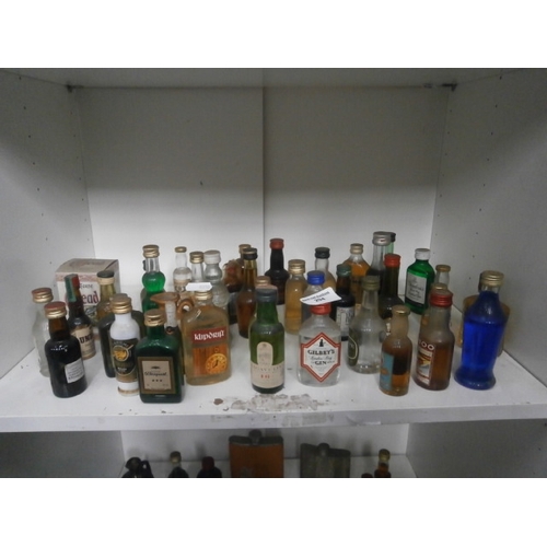 294 - Collection of miniature alcohols