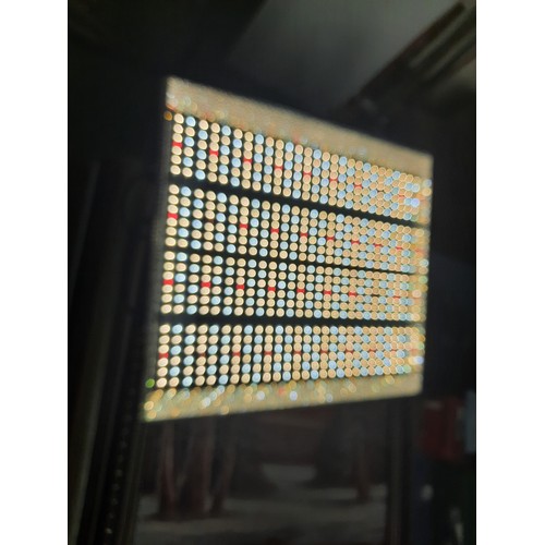 11 - Mars Hydro LED grow panel light working