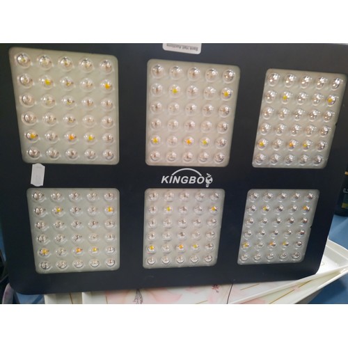 13 - Kingbo LED growing light working