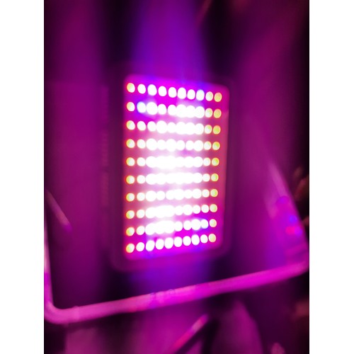 33 - LED growing light working