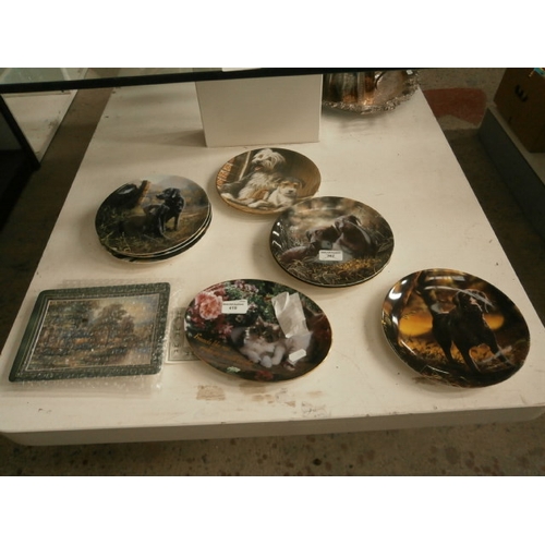 419 - Collectable cats and dogs plates