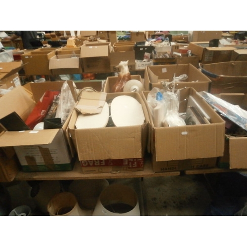 Lot 113       