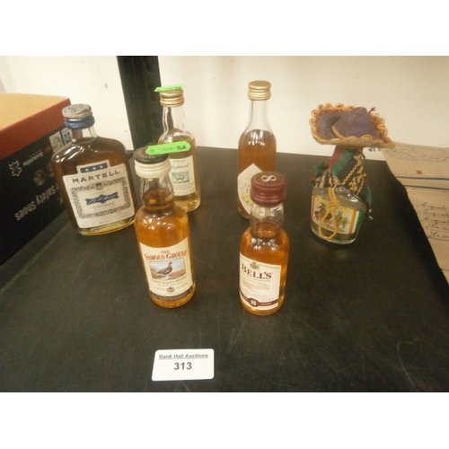 Lot 313       