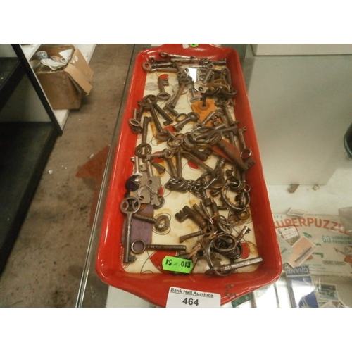 Lot 464       