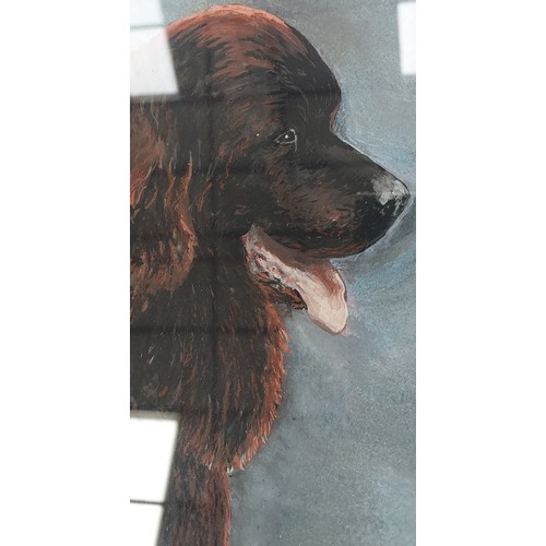 55 - Large original oil on board of Newfoundland Dog by A.Neild 1981