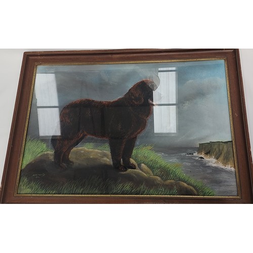 55 - Large original oil on board of Newfoundland Dog by A.Neild 1981