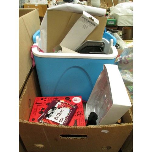 176 - Lot inc cooler box, books, string lights, etc