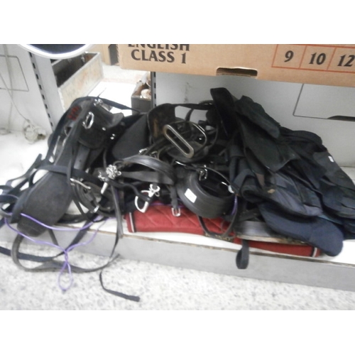 346 - Large quantity of assorted horse tack