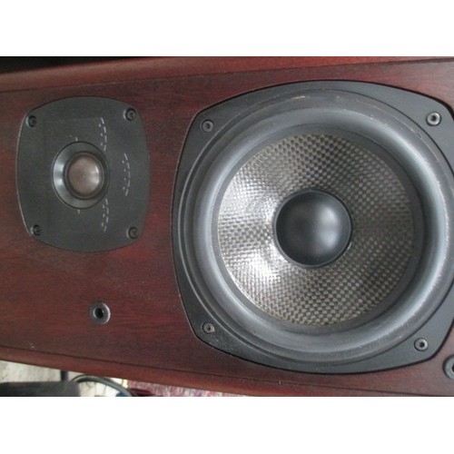 235 - Pair of tall Castle speakers