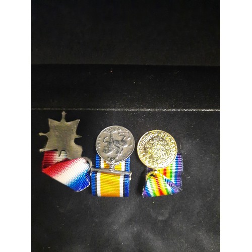 204 - The first world war centenary coin & medal collection with 3 medals & 5 coins inc half crown , Flori... 