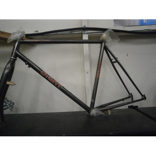 62 - Giant bike frame