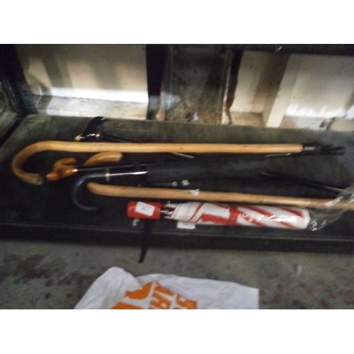 99 - Lot inc umbrellas and walking sticks