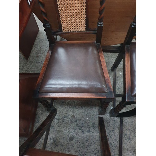 616 - Set of barley twist chairs with bergie back panel