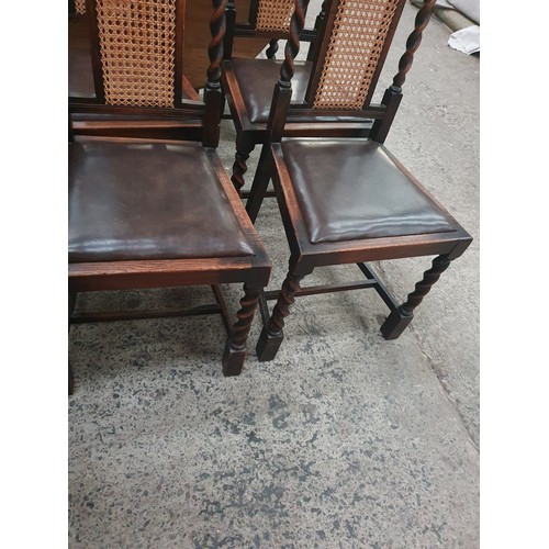 616 - Set of barley twist chairs with bergie back panel