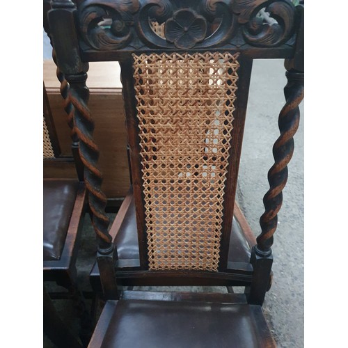 616 - Set of barley twist chairs with bergie back panel