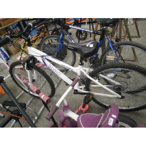 247 - Ladies Apollo Jewel mountain bike