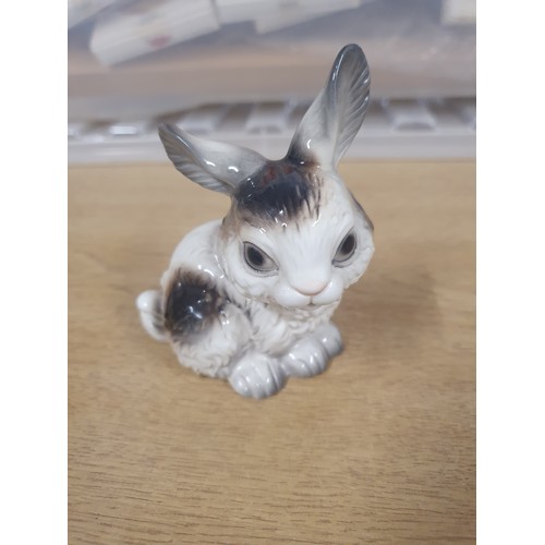 97 - Small Goebel rabbit