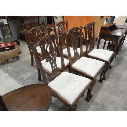 684 - A set of 6 x ornately carved Chippendale style dining chairs