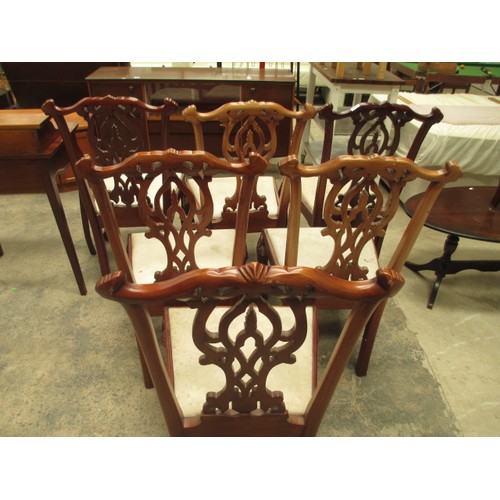 684 - A set of 6 x ornately carved Chippendale style dining chairs