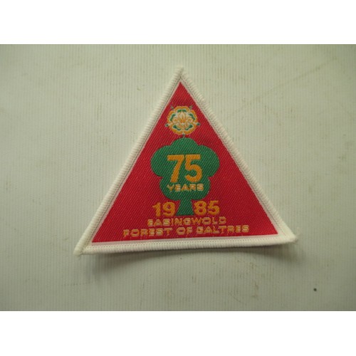 305 - Box of scout badges reading 75 Years 1985 Easingwold Forest of Galtres