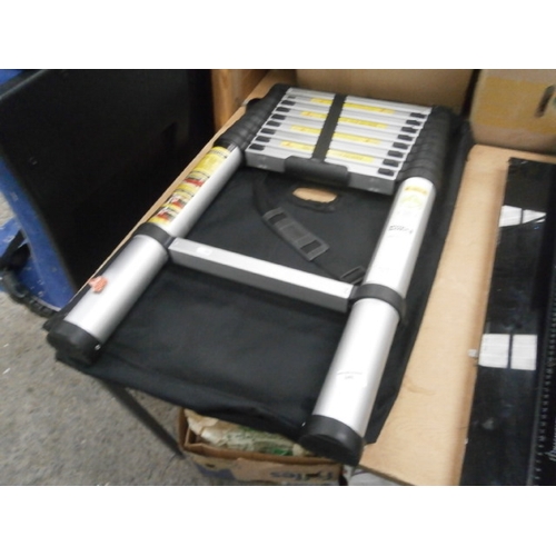 Telescopic ladders with bag