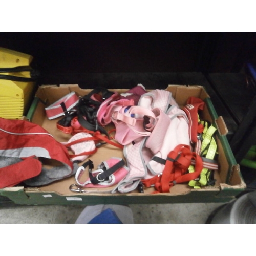 21 - Box of dog harnesses