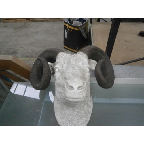 310 - Large resin rams head