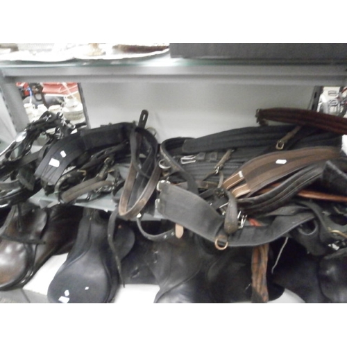 328 - Quantity of horse tack