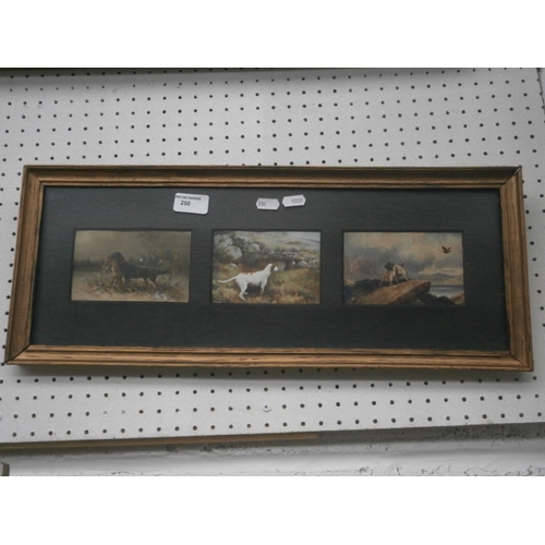 250 - Framed set of three vintage hunting postcards