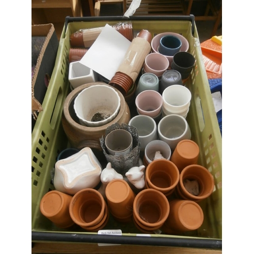 71 - Crate of assorted miniature plant pots