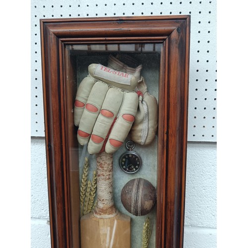 206 - Cricket memorabilia wall picture