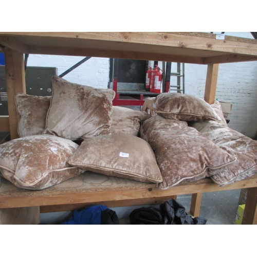 50 - Set of eight matching cushions