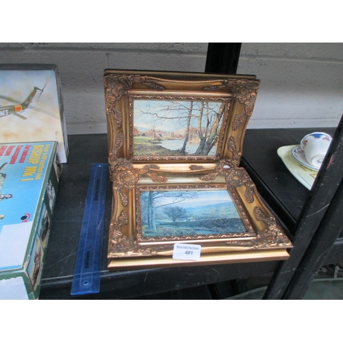 481 - Two gilt framed pictures