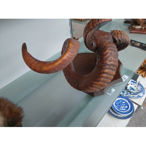 264 - Mounted animal horn, 18