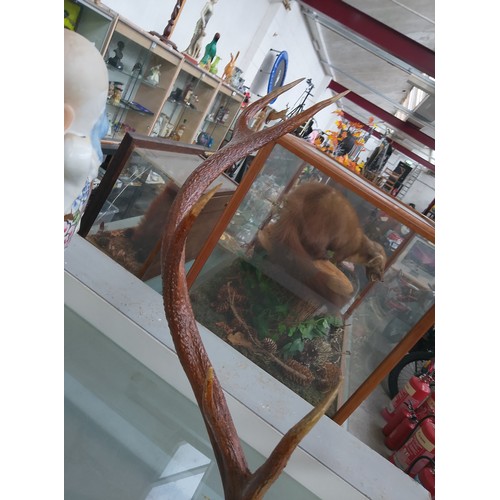 277 - Mounted antlers 28