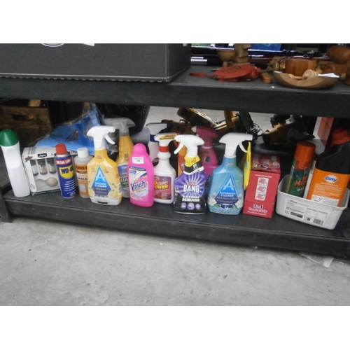 256 - Selection of cleaning products