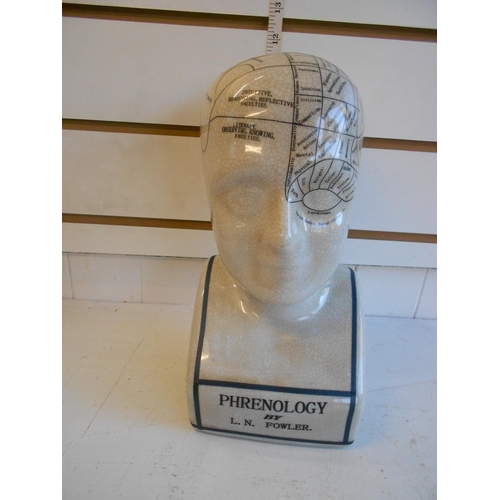 16 - Phrenology Head