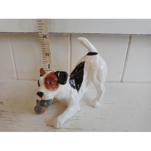 308 - Royal Doulton Terrier Dog Chewing a Shoe