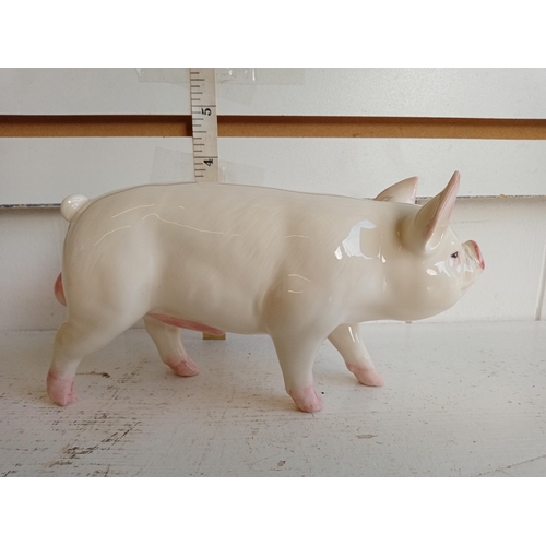 11 - Beswick Pig