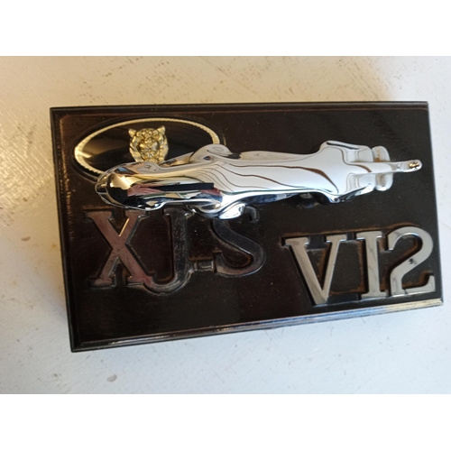 111 - Jaguar XJS Mounted Mascot & Badges