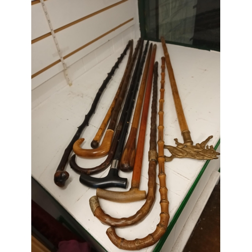 374 - 10 Assorted Walking Canes