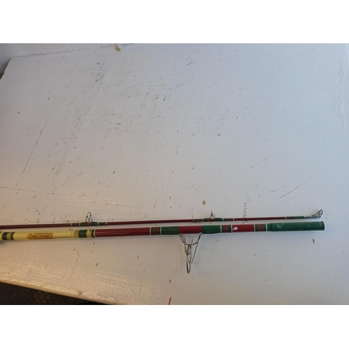 53 - 2 Piece Fishing Rod