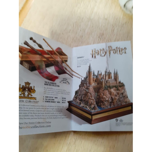 101 - Limited Edition Harry Potter Wand in Presentation Case