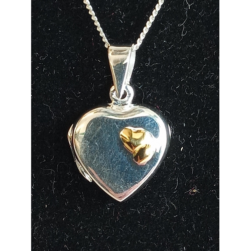 123 - Silver Heart Pendant & Chain