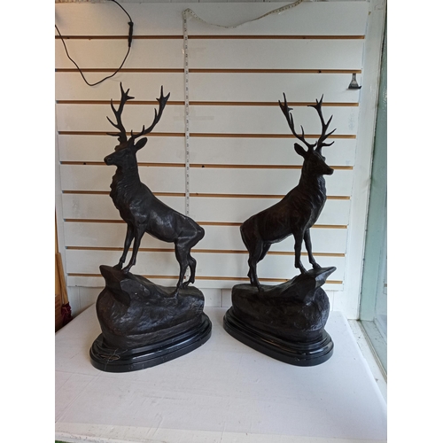 329 - 2 Lovely Signed Bronze on Marble Base Staggs, 73cm Tall.
Buyer to arrange own courier if required.