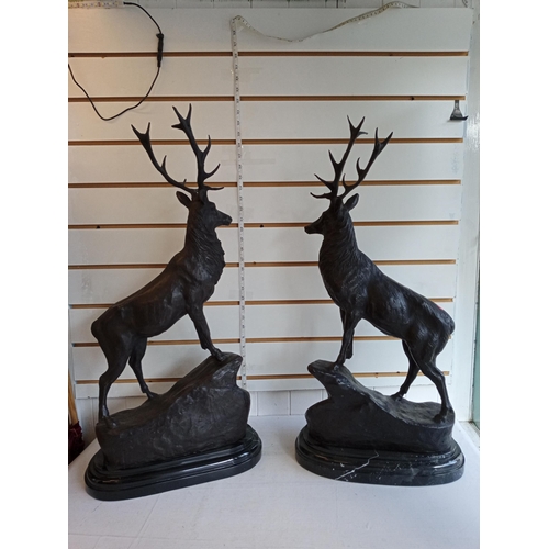 329 - 2 Lovely Signed Bronze on Marble Base Staggs, 73cm Tall.
Buyer to arrange own courier if required.