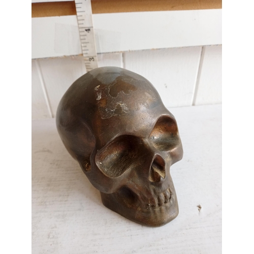 50 - Metal Skull