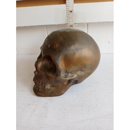 50 - Metal Skull