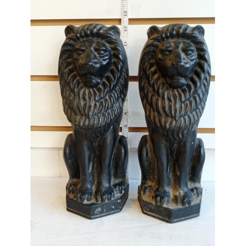 239 - Pair of Cast Iron Fire Dogs